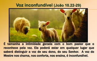 Voz inconfundível (João 10.22-29)
É tamanha a intimidade gerada com o bom pastor que o
reconhece pela voz. Ela poderá estar em qualquer lugar que
saberá distinguir a voz de seu dono, do seu Senhor. A voz do
Mestre nos chama, nos conforta, nos ensina, é inconfundível.
 