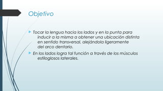 Objetivo
 Tocar la lengua hacia los lados y en la punta para
inducir a la misma a obtener una ubicación distinta
en sentido transversal, alejándola ligeramente
del arco dentario.
 En los lados logra tal función a través de los músculos
estiloglosos laterales.
 