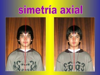 simetría axial 