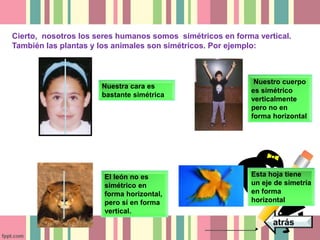 Cierto, nosotros los seres humanos somos simétricos en forma vertical. 
También las plantas y los animales son simétricos. Por ejemplo: 
Nuestra cara es 
bastante simétrica 
Nuestro cuerpo 
es simétrico 
verticalmente 
pero no en 
forma horizontal 
atrás 
El león no es 
simétrico en 
forma horizontal, 
pero sí en forma 
vertical. 
Esta hoja tiene 
un eje de simetría 
en forma 
horizontal 
 