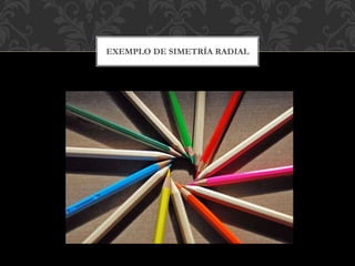 EXEMPLO DE SIMETRÍA RADIAL
 