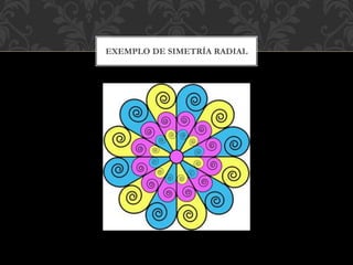 EXEMPLO DE SIMETRÍA RADIAL
 