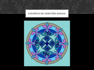 EXEMPLO DE SIMETRÍA RADIAL
 