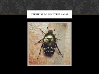EXEMPLO DE SIMETRÍA AXIAL
 