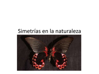 Simetrías en la naturaleza 