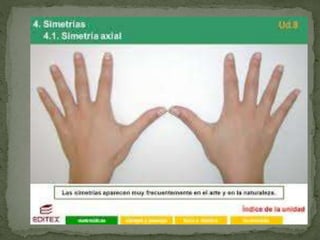 Simetrías na natureza