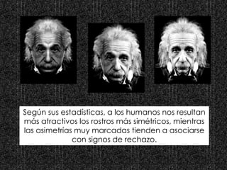 Según sus estadísticas, a los humanos nos resultan
más atractivos los rostros más simétricos, mientras
las asimetrías muy marcadas tienden a asociarse
con signos de rechazo.
 
