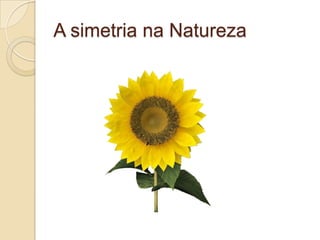 Linha de SimetriaÉ classificada como um número, chamado ordem. Esta ordem nos diz quantas maneiras a linha pode dividir a figura mantendo a simetria.