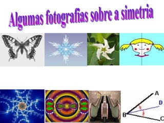 Algumas fotografias sobre a simetria 