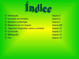 Introdução diapos.5 Conceito de Simetria diapos.6 Simetria na Biologia diapos.7 Bissectriz de um ângulo diapos.8/9 Algumas fotografias sobre a simetria diapos.10 Conclusão diapos.11 Bibliografia diapos.12 Fim diapos.13 Índice 