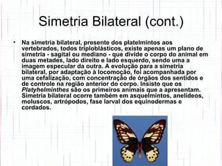 Simetria Bilateral (cont.) Na simetria bilateral, presente dos platelmintos aos vertebrados, todos triploblásticos, existe apenas um plano de simetria - sagital ou mediano - que divide o corpo do animal em duas metades, lado direito e lado esquerdo, sendo uma a imagem especular da outra. A evolução para a simetria bilateral, por adaptação à locomoção, foi acompanhada por uma cefalização, com concentração de órgãos dos sentidos e de controle na região anterior do corpo. Insisto que os  Platyhelminthes  são os primeiros animais que a apresentam. Simetria bilateral ocorre também em asquelmintos, anelídeos, moluscos, artrópodos, fase larval dos equinodermas e cordados.  