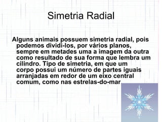 Simetria Radial Alguns animais possuem simetria radial, pois podemos dividi-los, por vários planos, sempre em metades uma a imagem da outra como resultado de sua forma que lembra um cilindro. Tipo de simetria, em que um corpo possui um número de partes iguais arranjadas em redor de um eixo central comum, como nas estrelas-do-mar. 