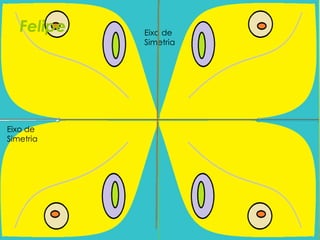 Eixo de
Simetria
Eixo de
Simetria
Felipe
 