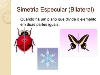 Simetria de Rotação