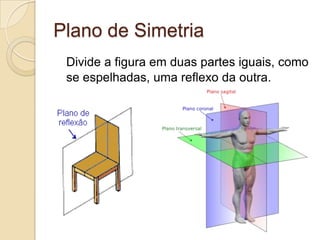 Conceitos fundamentaisSão três os conceitos fundamentais da simetria:Plano de Simetria
