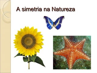A simetria na Natureza 