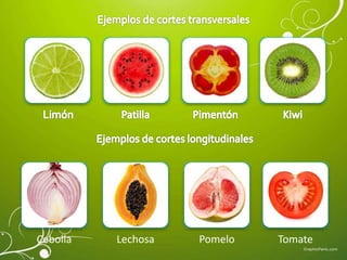 Cebolla TomatePomeloLechosa
 