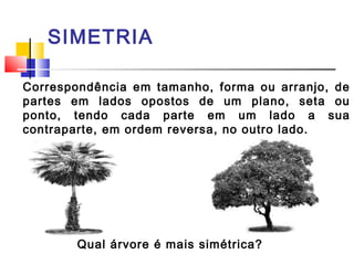SIMETRIA 
Correspondência em tamanho, forma ou arranjo, de 
partes em lados opostos de um plano, seta ou 
ponto, tendo cada parte em um lado a sua 
contraparte, em ordem reversa, no outro lado. 
Qual árvore é mais simétrica? 
 