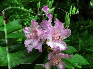 Simfonia Florilor | PPSX