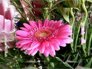 Simfonia Florilor | PPSX