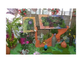 Simfonia Florilor Pitesti 2013