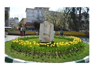 Simfonia Florilor Pitesti 2013