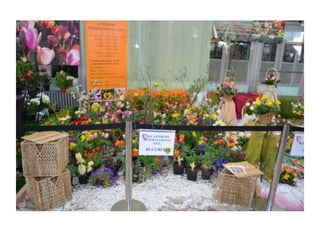 Simfonia Florilor Pitesti 2013