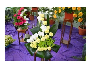 Simfonia Florilor Pitesti 2013