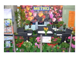 Simfonia Florilor Pitesti 2013