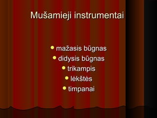 Mušamieji instrumentaiMušamieji instrumentai
mažasis būgnasmažasis būgnas
didysis būgnasdidysis būgnas
trikampistrikampis
lėkštėslėkštės
timpanaitimpanai
 