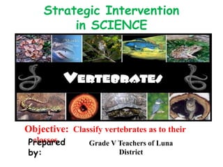 Objective: Classify vertebrates as to their
classesPrepared
by:
Grade V Teachers of Luna
District
Strategic Intervention
in SCIENCE
 