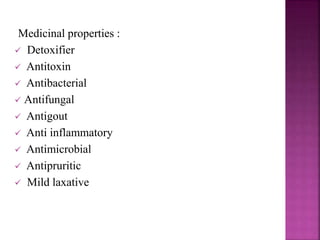 Medicinal properties :
 Detoxifier
 Antitoxin
 Antibacterial
 Antifungal
 Antigout
 Anti inflammatory
 Antimicrobial
 Antipruritic
 Mild laxative
 