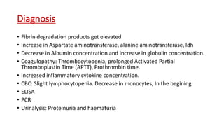 Diagnosis
• Fibrin degradation products get elevated.
• Increase in Aspartate aminotransferase, alanine aminotransferase, ldh
• Decrease in Albumin concentration and increase in globulin concentration.
• Coagulopathy: Thrombocytopenia, prolonged Activated Partial
Thromboplastin Time (APTT), Prothrombin time.
• Increased inflammatory cytokine concentration.
• CBC: Slight lymphocytopenia. Decrease in monocytes, In the begining
• ELISA
• PCR
• Urinalysis: Proteinuria and haematuria
 