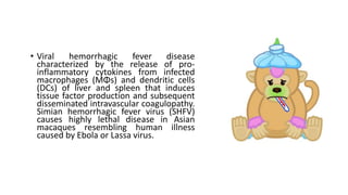 • Viral hemorrhagic fever disease
characterized by the release of pro-
inflammatory cytokines from infected
macrophages (MΦs) and dendritic cells
(DCs) of liver and spleen that induces
tissue factor production and subsequent
disseminated intravascular coagulopathy.
Simian hemorrhagic fever virus (SHFV)
causes highly lethal disease in Asian
macaques resembling human illness
caused by Ebola or Lassa virus.
 