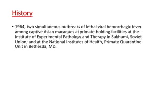 History
• 1964, two simultaneous outbreaks of lethal viral hemorrhagic fever
among captive Asian macaques at primate-holding facilities at the
Institute of Experimental Pathology and Therapy in Sukhumi, Soviet
Union; and at the National Institutes of Health, Primate Quarantine
Unit in Bethesda, MD.
 