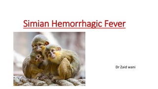 Simian Hemorrhagic Fever
Dr Zaid wani
 