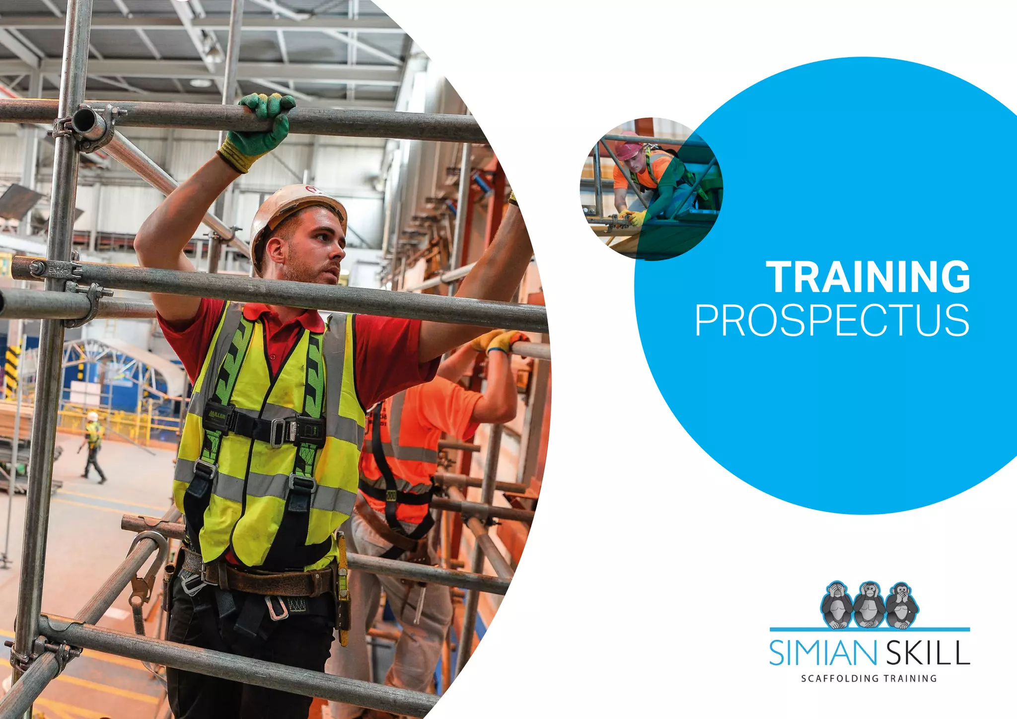 Simian Training Prospectus | PDF