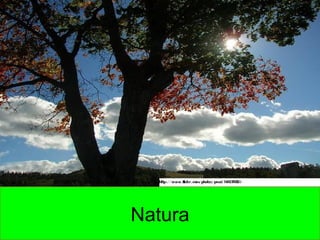 Natura 