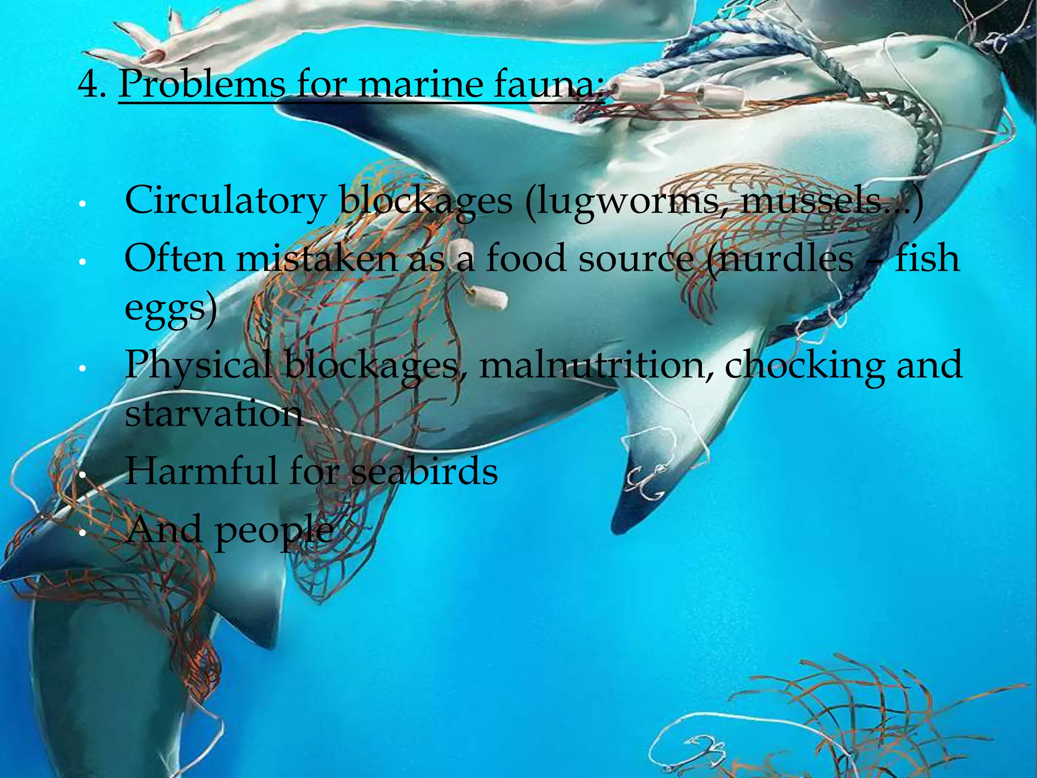 4. Problems for marine fauna:
• Circulatory blockages (lugworms, mussels...)
• Often mistaken as a food source (nurdles – fish
eggs)
• Physical blockages, malnutrition, chocking and
starvation
• Harmful for seabirds
• And people
 