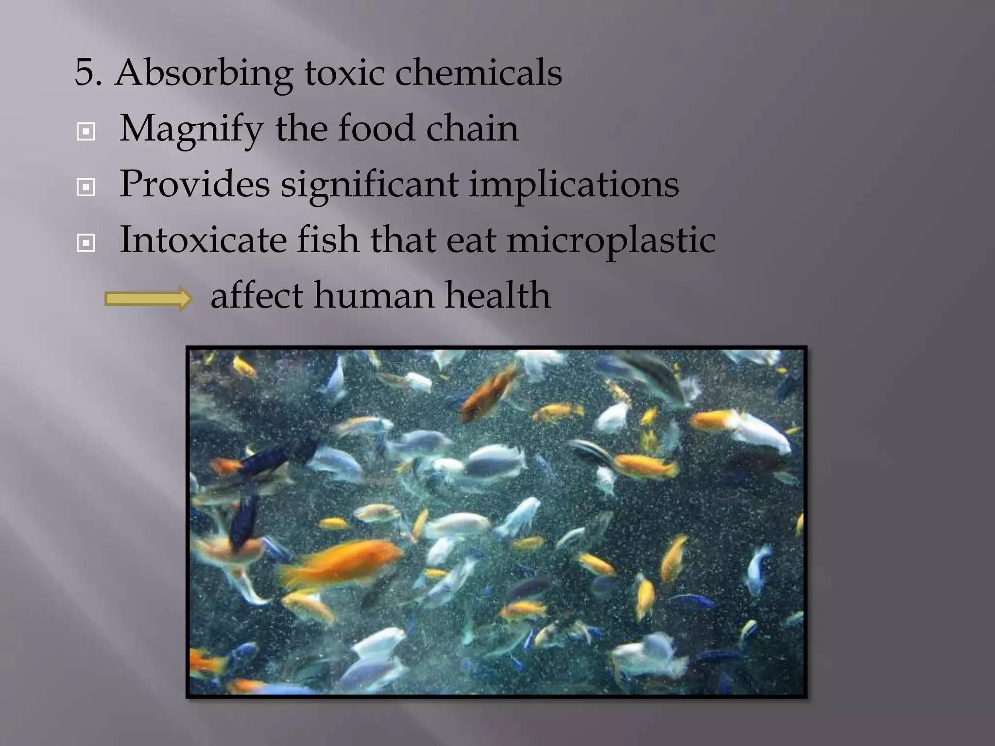 5. Absorbing toxic chemicals
 Magnify the food chain
 Provides significant implications
 Intoxicate fish that eat microplastic
affect human health
 