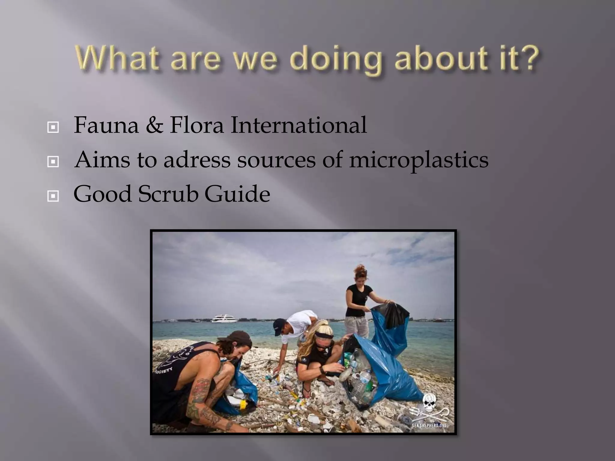  Fauna & Flora International
 Aims to adress sources of microplastics
 Good Scrub Guide
 