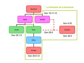 Gen 28:9 Gen 9:25 Gen 28:1,6 Gen 36:9-12 Gen 36:2 Gen 16:11-12 La Simiente de la Serpiente Abraham Isaac Ismael Jacob Esau Elifaz Amalec Canaán 