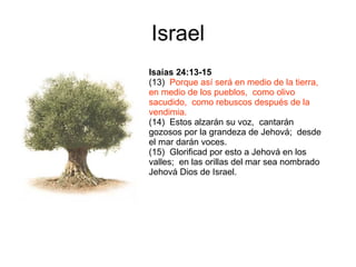 Israel Isaías 24:13-15 (13)  Porque así será en medio de la tierra,  en medio de los pueblos,  como olivo sacudido,  como rebuscos después de la vendimia. (14)  Estos alzarán su voz,  cantarán gozosos por la grandeza de Jehová;  desde el mar darán voces. (15)  Glorificad por esto a Jehová en los valles;  en las orillas del mar sea nombrado Jehová Dios de Israel. 