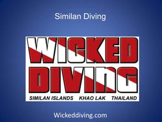 Similan Diving Wickeddiving.com 