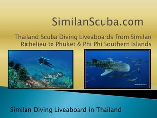 Thailand Scuba Diving Liveaboards from Similan
Richelieu to Phuket & Phi Phi Southern Islands
Similan Diving Liveaboard in Thailand
 