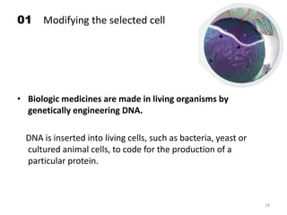 01 Modifying the selected cell
• Biologic medicines are made in living organisms by
genetically engineering DNA.
DNA is inserted into living cells, such as bacteria, yeast or
cultured animal cells, to code for the production of a
particular protein.
18
 