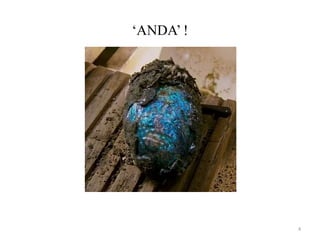 ‘ANDA’ !
4
 