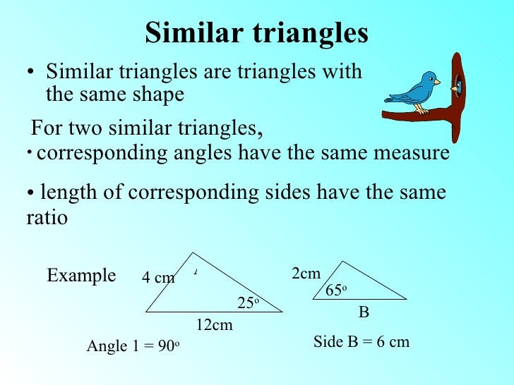 similar triangles notes