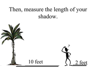 Then, measure the length of your shadow. 10 feet 2 feet 