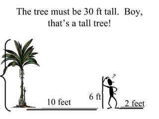 The tree must be 30 ft tall.  Boy, that’s a tall tree! 10 feet 2 feet 6 ft 